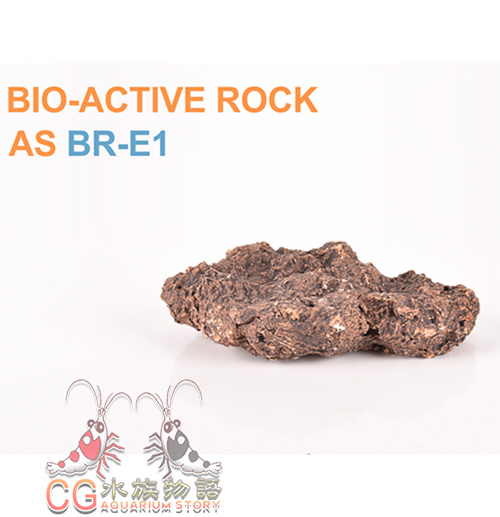 AS BIO-Active Rock E1
