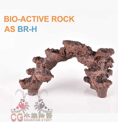 AS BIO-Active Rock H