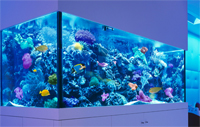 Aquarium Tank Set