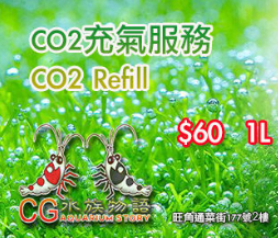 CO2 充氣 1L
