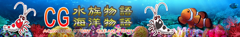 CG Aquarium Story